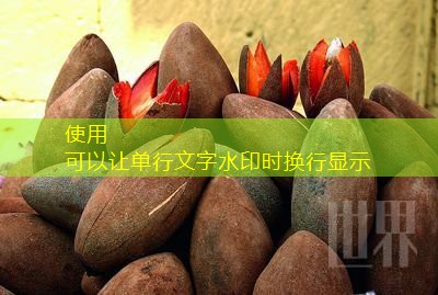 cnc bet jogos cnc bet jogos